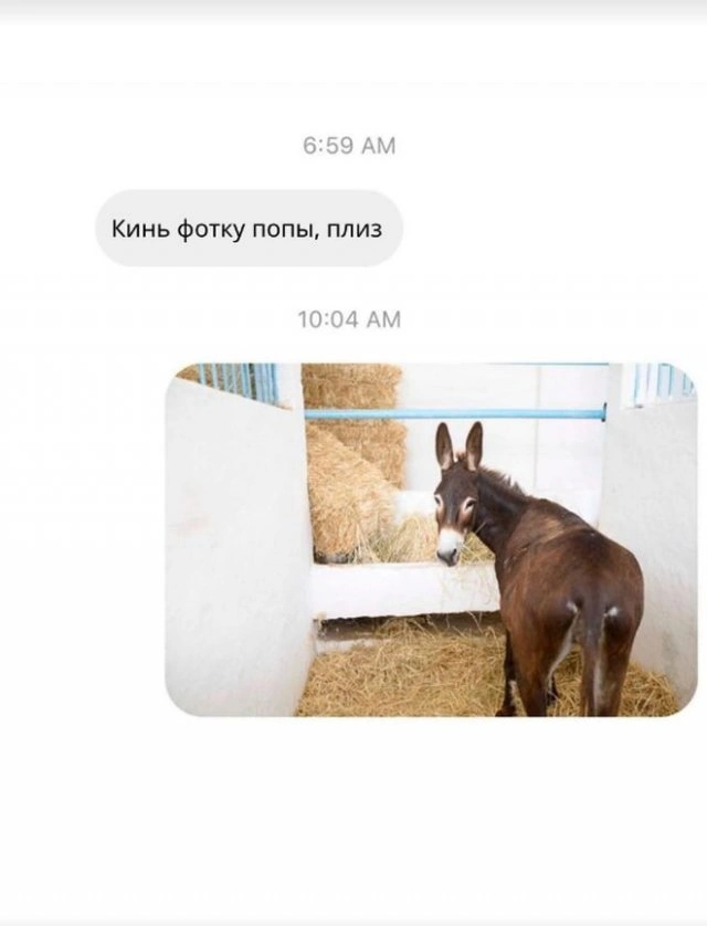 Модель показала екрани переписок, де хлопці намагаються до неї "підкотитися" - один спосіб дивніший за інший (20 фото) – фото 2