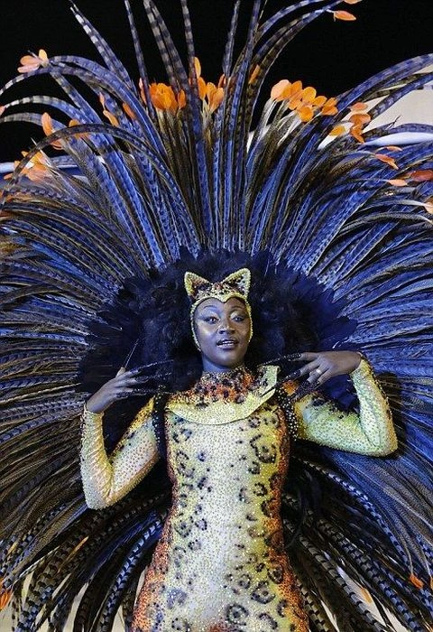 Дівчата на карнавалі у Ріо-де-Жанейро (27 фото) – фото 4