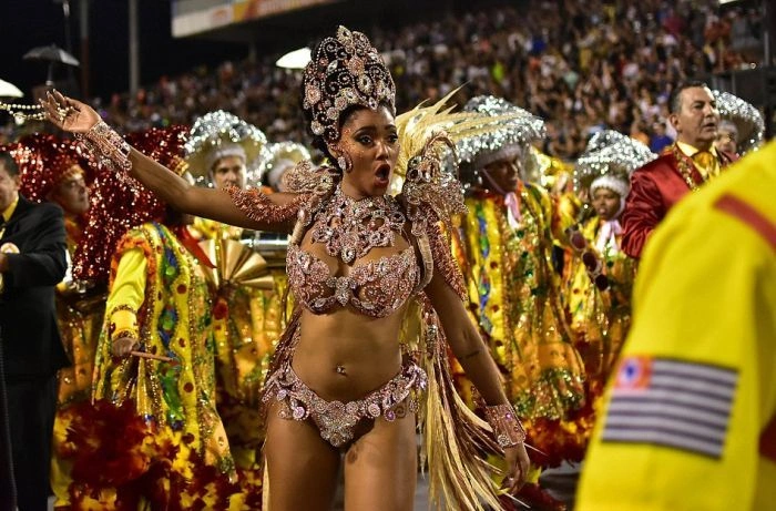 Дівчата на карнавалі у Ріо-де-Жанейро (27 фото) – фото 5