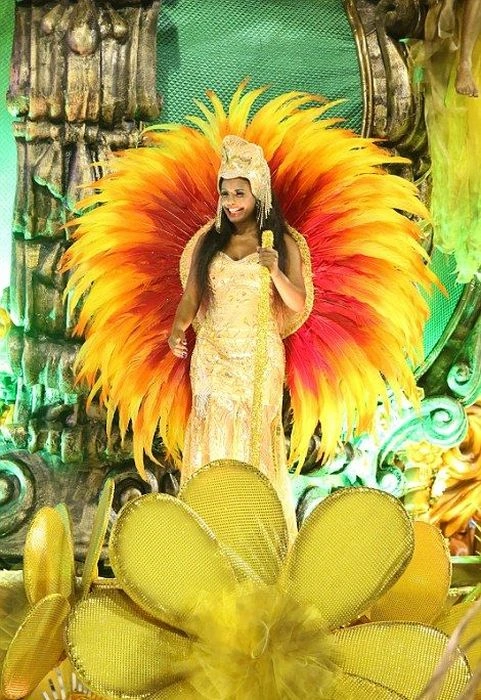 Дівчата на карнавалі у Ріо-де-Жанейро (27 фото) – фото 7