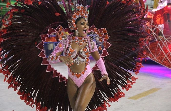 Дівчата на карнавалі у Ріо-де-Жанейро (27 фото) – фото 9
