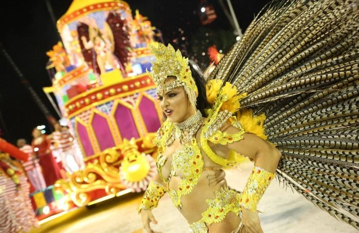 Дівчата на карнавалі у Ріо-де-Жанейро (27 фото) – фото 12