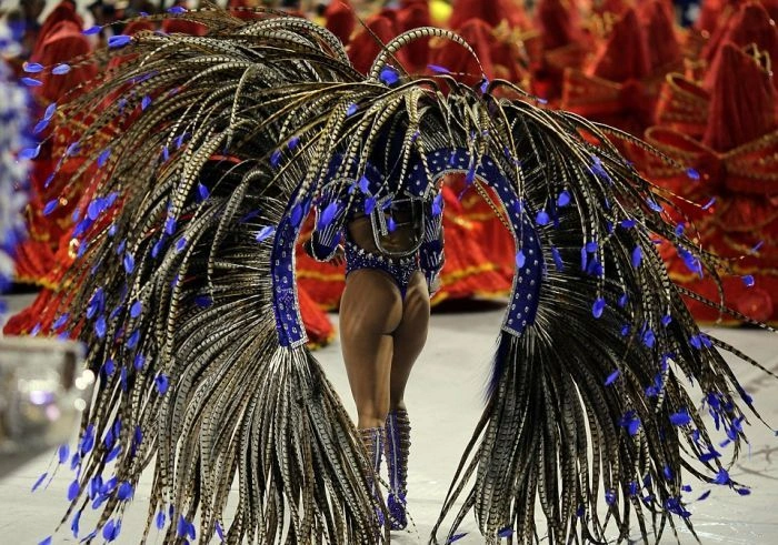 Дівчата на карнавалі у Ріо-де-Жанейро (27 фото) – фото 15