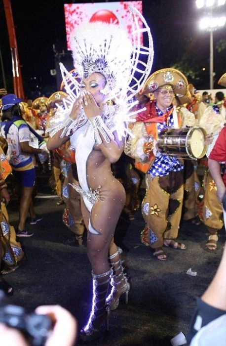 Дівчата на карнавалі у Ріо-де-Жанейро (27 фото) – фото 20