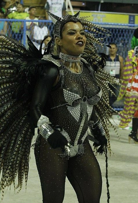 Дівчата на карнавалі у Ріо-де-Жанейро (27 фото) – фото 24