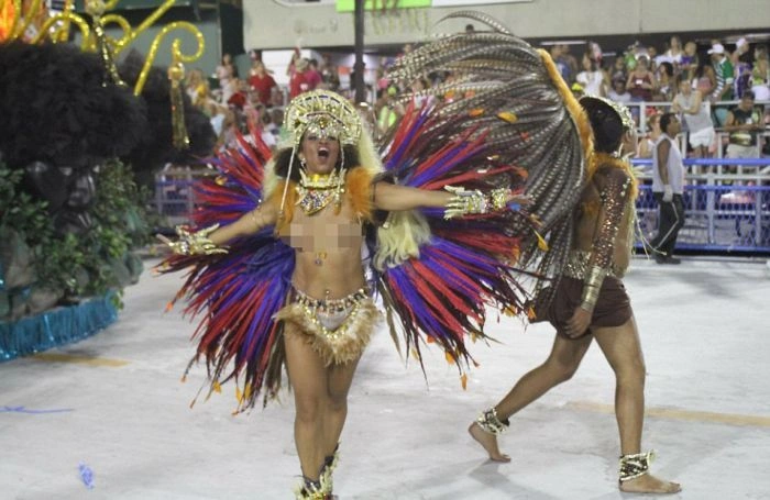 Дівчата на карнавалі у Ріо-де-Жанейро (27 фото) – фото 25
