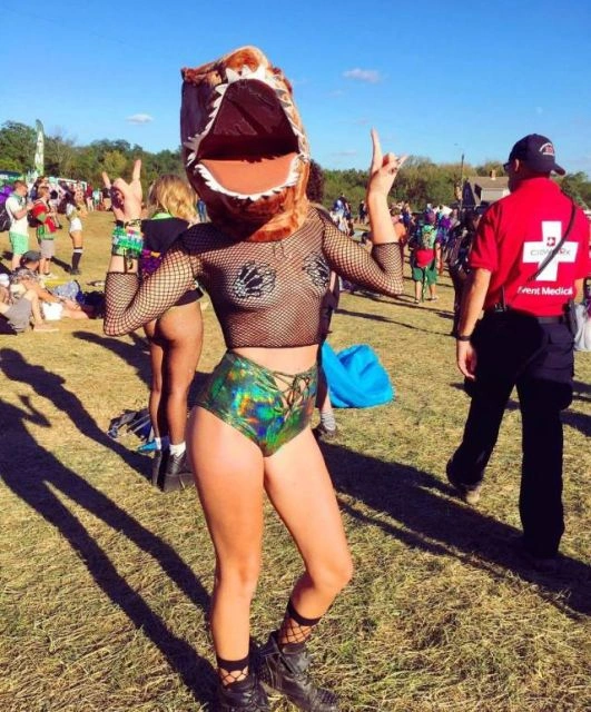 Дівчата з музичних фестивалів (35 фото) – фото 25