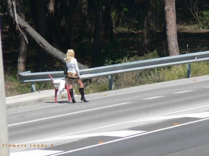 Священниці кохання на робочому місці (57 фото) – фото 16