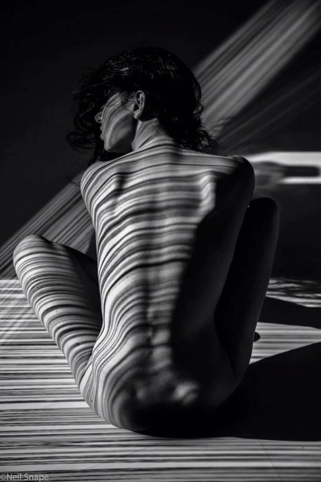 Чудова гра тіней (23 фото) – фото 6