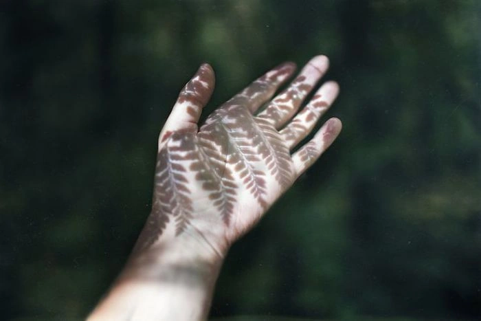 Чудова гра тіней (23 фото) – фото 14