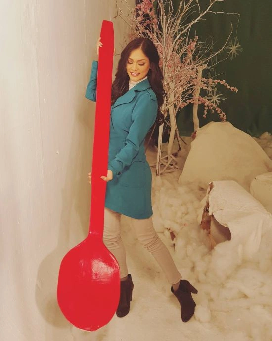 Скандал на конкурсі "Міс Всесвіт-2015": корона переможниці потрапила до іншої дівчини (15 фото + відео) – фото 8