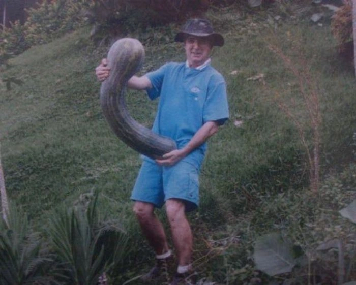 Непристойні картинки для дорослих. Частина 2 (46 фото) – фото 8