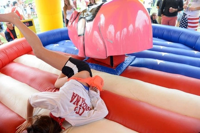 Дівчата розважаються на музичному фестивалі (50 фото) – фото 14