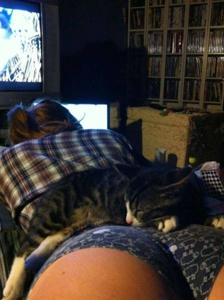 Нецензурні зображення для дорослих. Частина 51 (46 фото) – фото 13