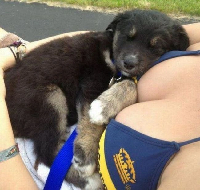 Нецензурні зображення для дорослих. Частина 51 (46 фото) – фото 17