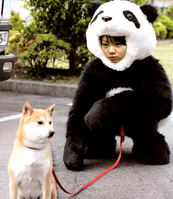 Гарні дівчата, які роблять дивні речі. Частина 5 (70 фото) – фото 25