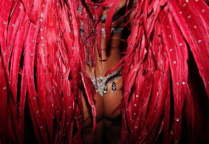 Дівчата на карнавалі в Ріо-де-Жанейро (125 фото) – фото 29