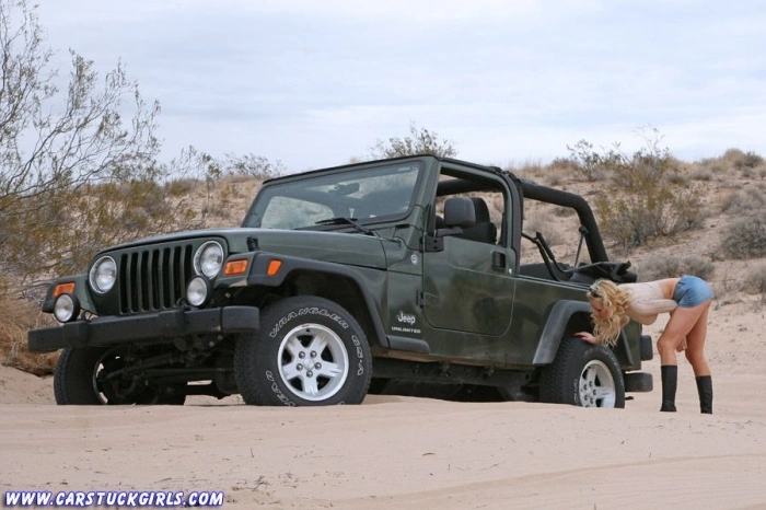 Дівчата застрягли (56 фото) – фото 11