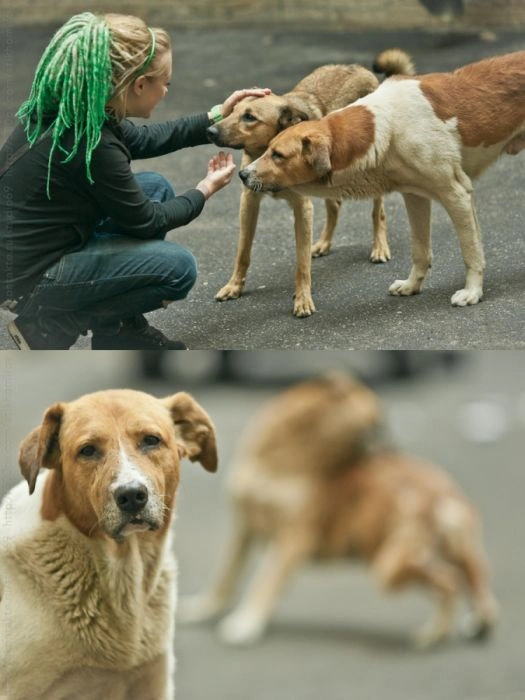 Дівчата від Олександра Тихомирова (63 фото) – фото 49
