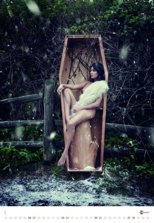 Еротичний календар польського виробника гробів (13 фото) – фото 2