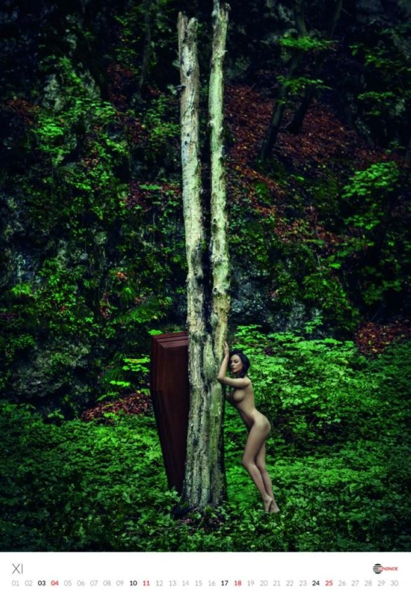 Еротичний календар польського виробника гробів (13 фото) – фото 12