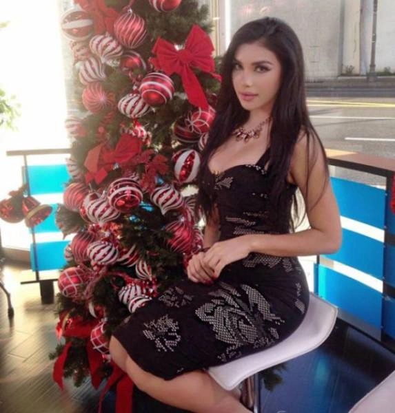 Чарівні дівчата готуються до зустрічі Різдва та Нового року (62 фото) – фото 23