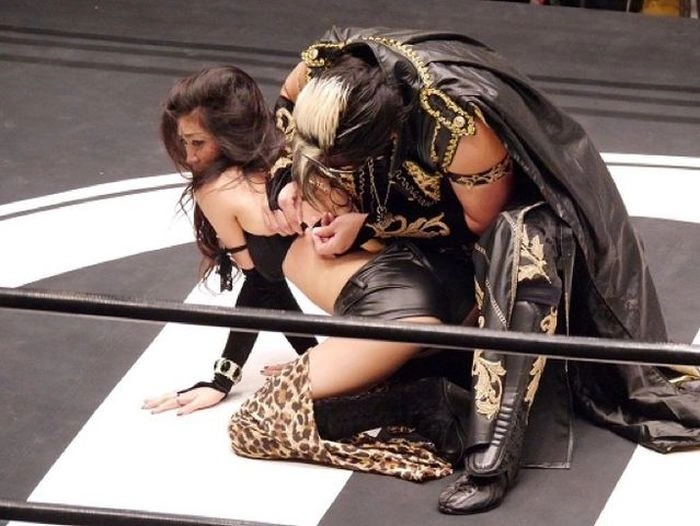 Розстебнутий бюстгальтер примирив реслерів на ринзі (4 фото + відео) – фото 1