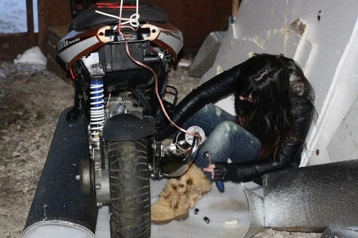 Незвичайний постійний відвідувач гаражного кооперативу (15 фото) – фото 14