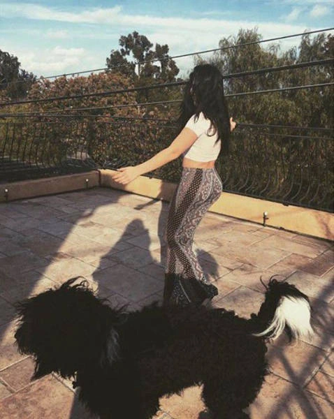 Маккайла Мароні - американська гімнастка, яка стала мемом в мережі (29 фото) – фото 14