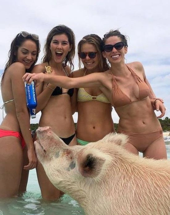 Смішні дівчата. Частина 56 (64 фото)