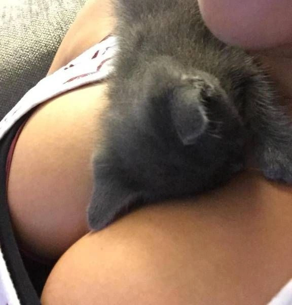 Смішні дівчата. Частина 63 (53 фото) – фото 37