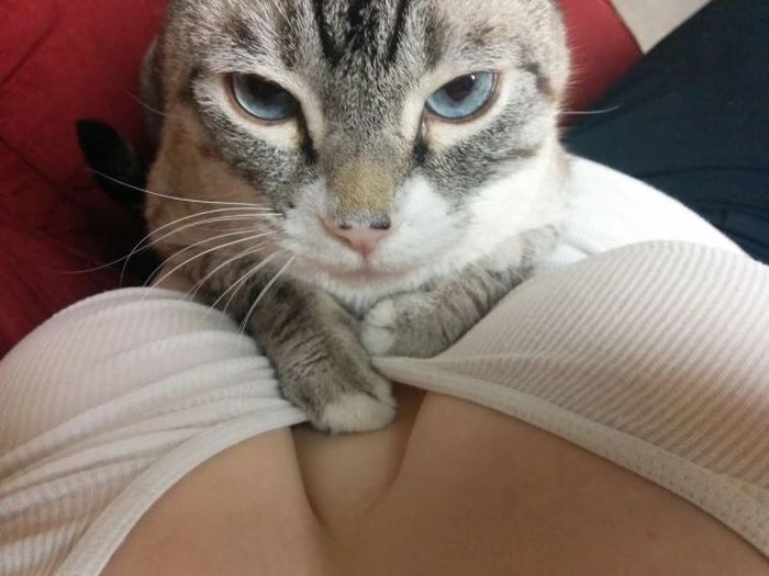 Смішні дівчата. Частина 18 (53 фото) – фото 4