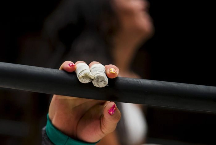 Професійний жіночий реслінг в Японії (16 фото) – фото 15