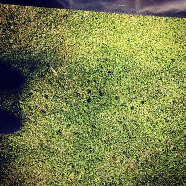 Жіночі страждання, які залишаться незрозумілими для чоловіків (13 фото) – фото 8