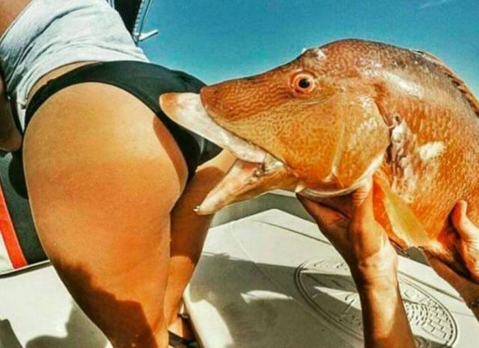 Смішні дівчата. Частина 45 (67 фото) – фото 6