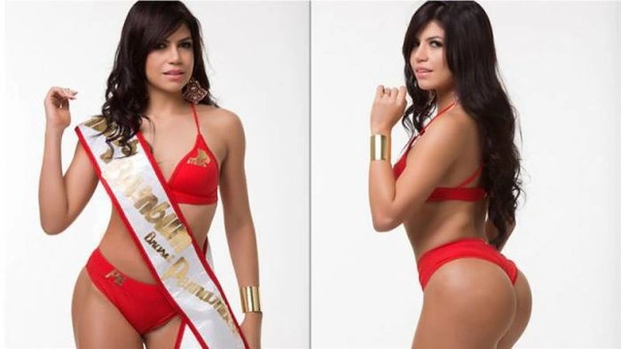 Учасниці конкурсу "Міс бразильська попа 2014" (27 фото) – фото 3