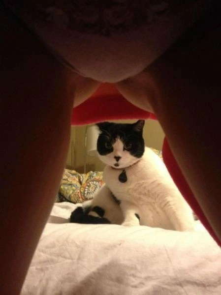 Нецензурні зображення для дорослих. Частина 48 (45 фото) – фото 4