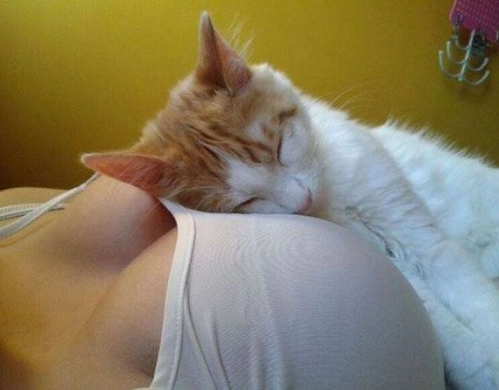 Нецензурні зображення для дорослих. Частина 33 (34 фото) – фото 10