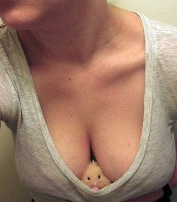 Нецензурні зображення для дорослих. Частина 46 (57 фото) – фото 13