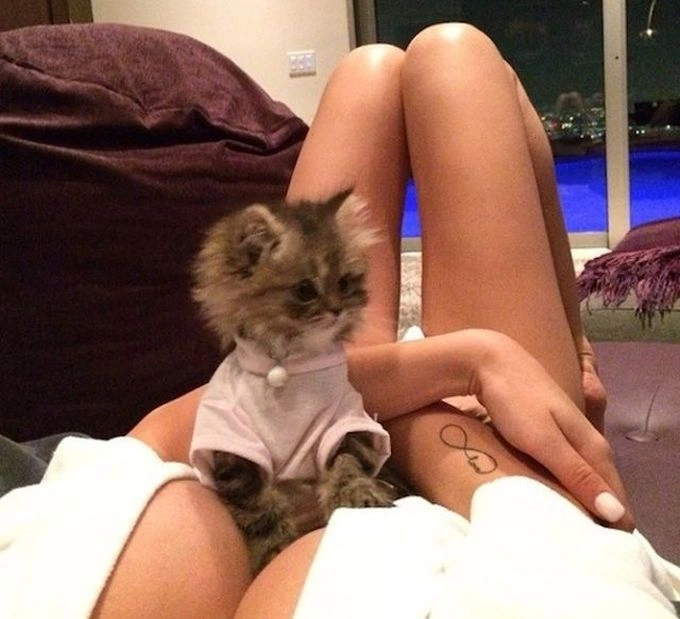 Нецензурні зображення для дорослих. Частина 29 (48 фото) – фото 1