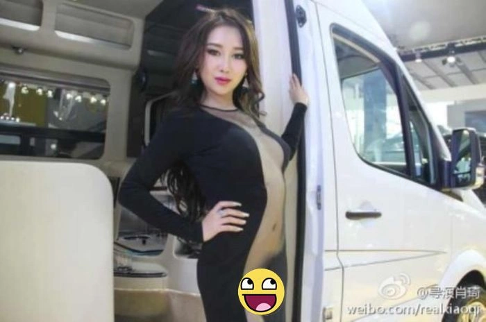 Сексуальна модель на автовиставці (6 фото) – фото 2