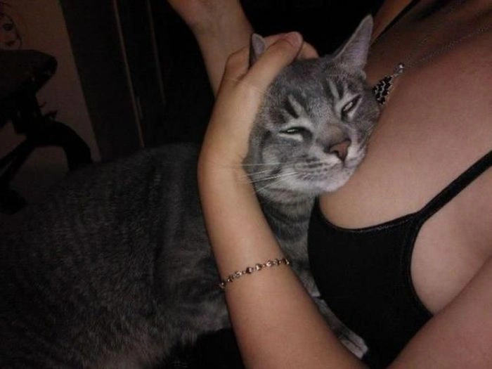 Нецензурні зображення для дорослих. Частина 26 (56 фото) – фото 48