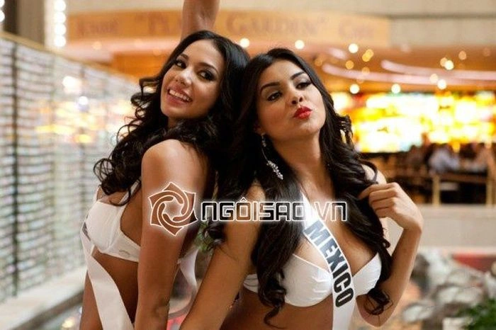 Учасниці конкурсу краси "Міс Всесвіт 2013" (30 фото) – фото 8