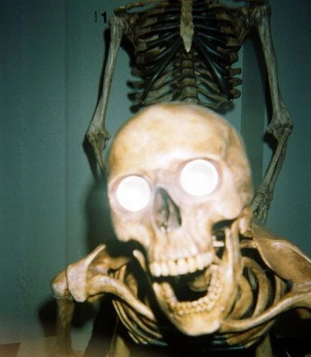 Нецензурні зображення для дорослих (68 фото) – фото 27