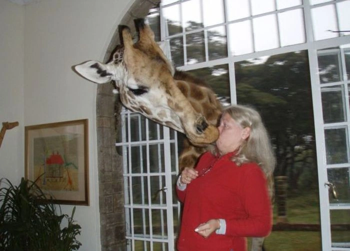 Не всі дівчата вміють знаходити спільну мову з тваринами (35 фото) – фото 17