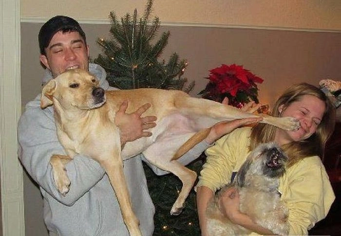 Не всі дівчата вміють знаходити спільну мову з тваринами (35 фото) – фото 20