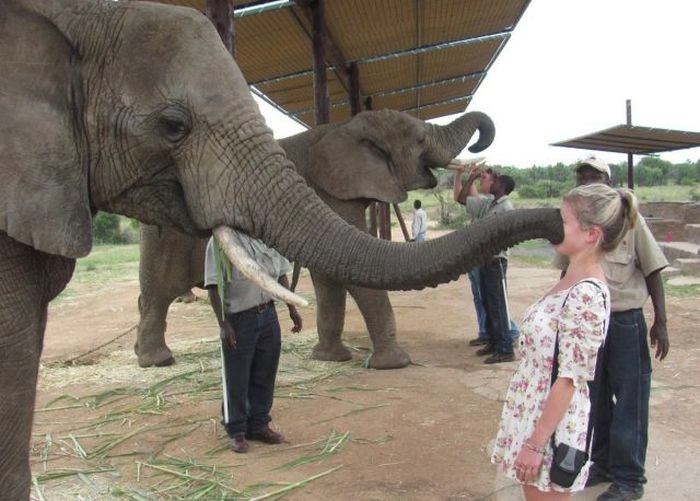 Не всі дівчата вміють знаходити спільну мову з тваринами (35 фото) – фото 21