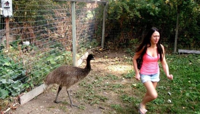 Не всі дівчата вміють знаходити спільну мову з тваринами (35 фото) – фото 25