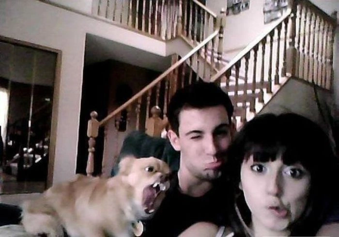 Не всі дівчата вміють знаходити спільну мову з тваринами (35 фото) – фото 28