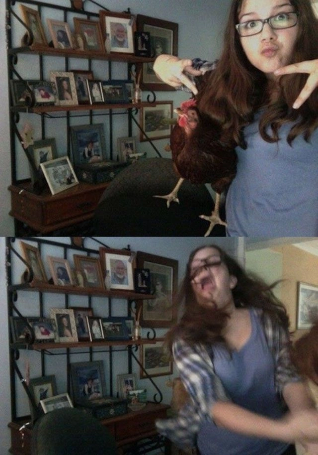 Не всі дівчата вміють знаходити спільну мову з тваринами (35 фото) – фото 35